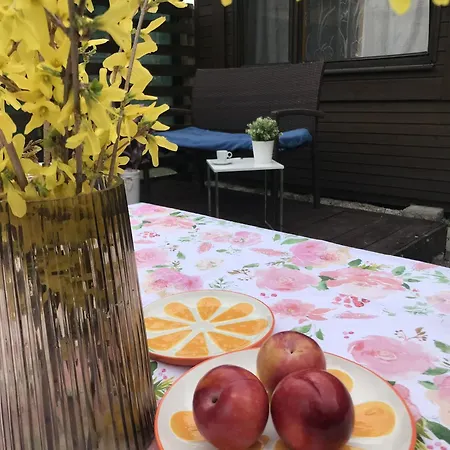 Chalmova 27 Kamp alanı